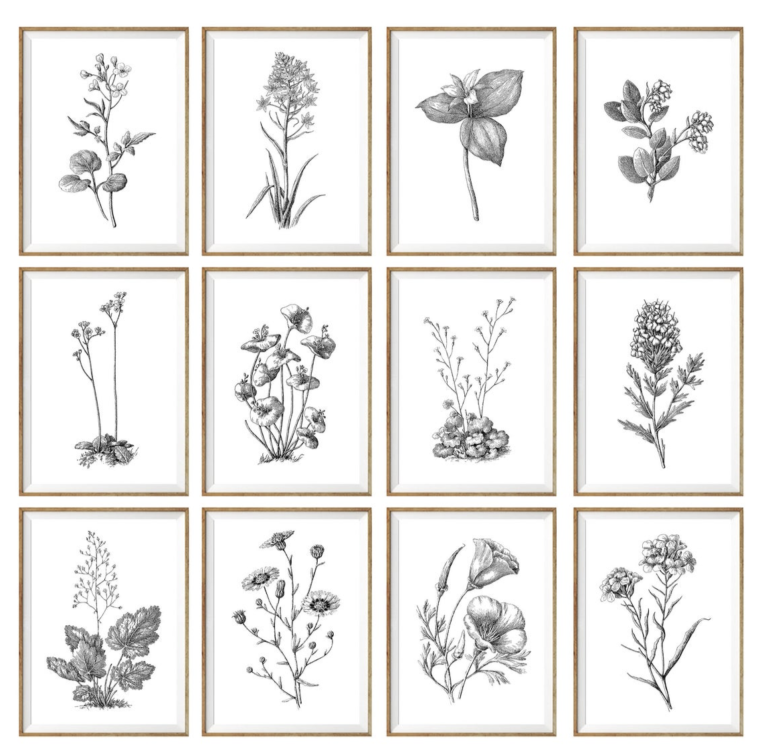 Elements of Style - Quick Source: Botanical Prints